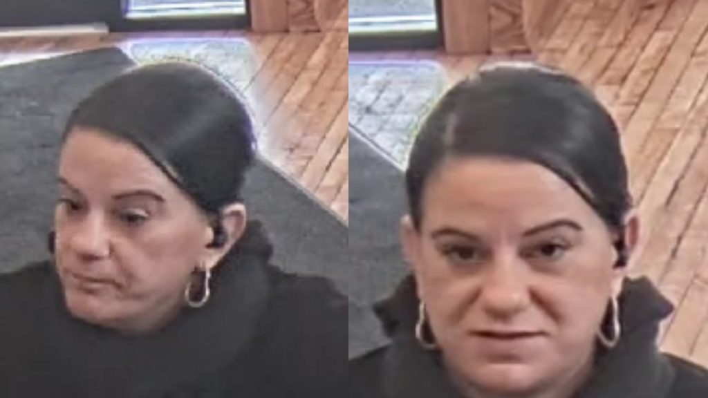 Authorities seek help to identify woman involved in identity theft case ...