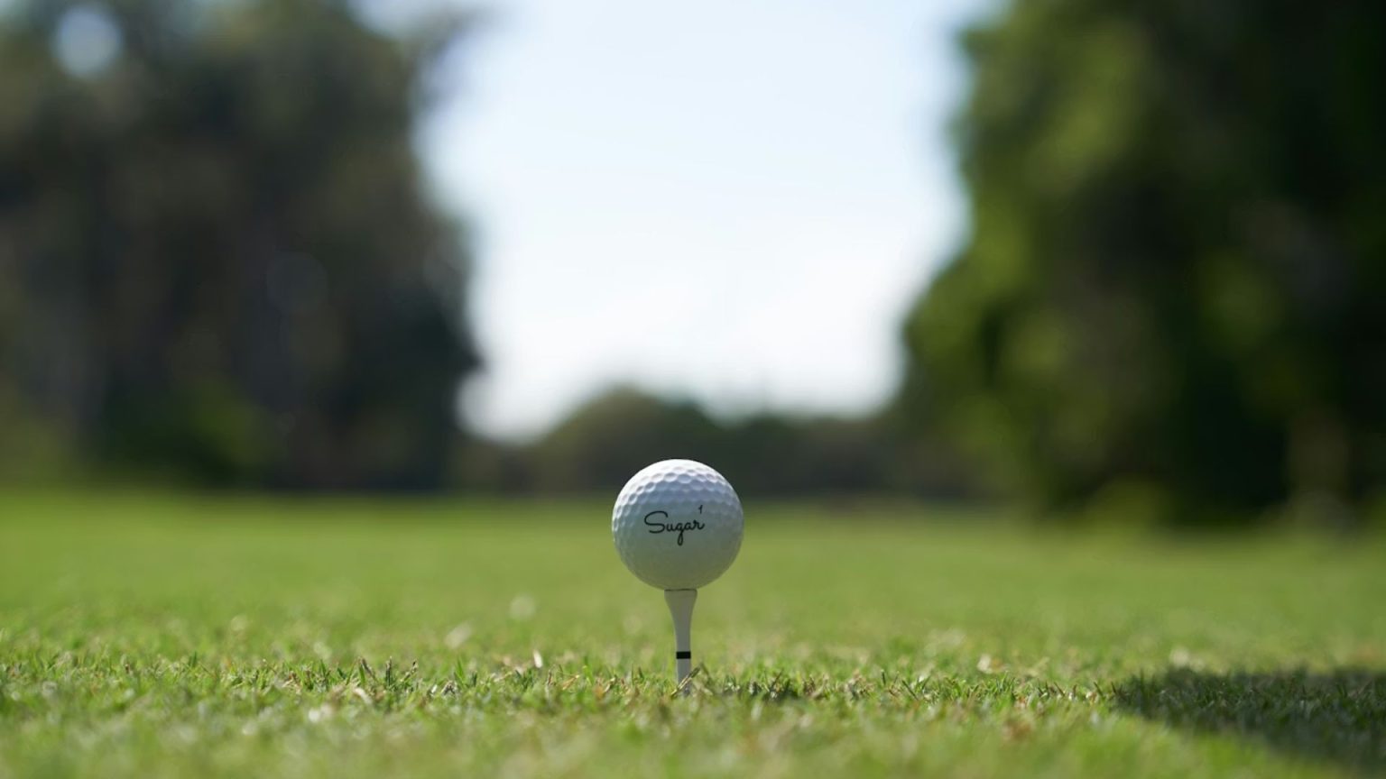 Monroe County Executive Adam Bello announces opening of public golf ...