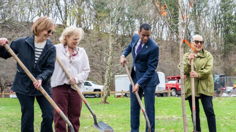 Afforest Rochester Rochester earns prestigious Global Tree City recognition while ...